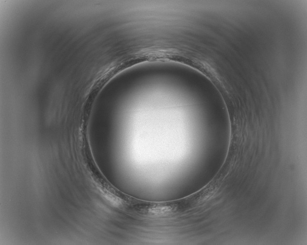 X0000053000357200507151927
