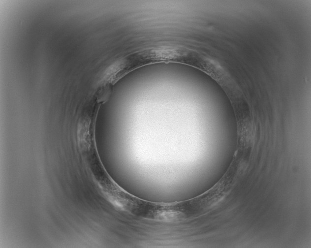 X0000053000360200507151927