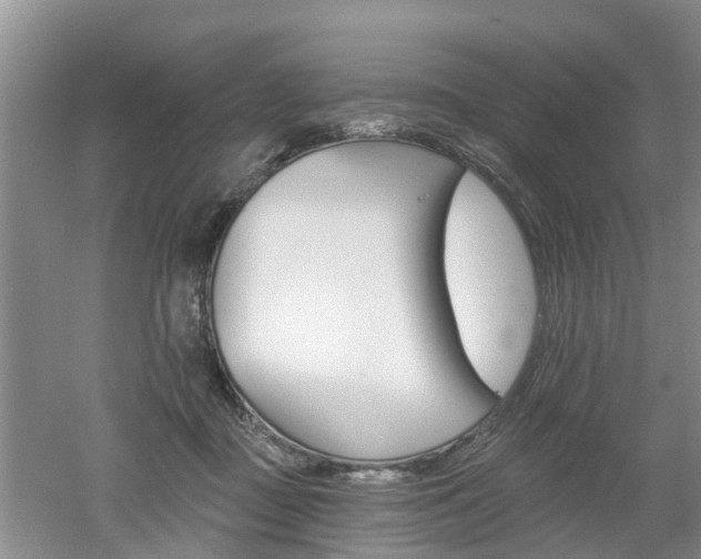 X0000053000363200507151927