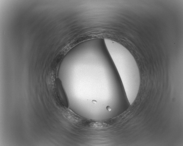 X0000053000372200507151928