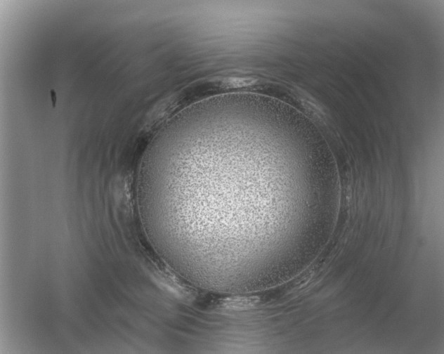 X0000053000373200507151928