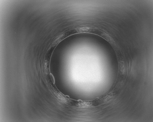 X0000053000378200507151928