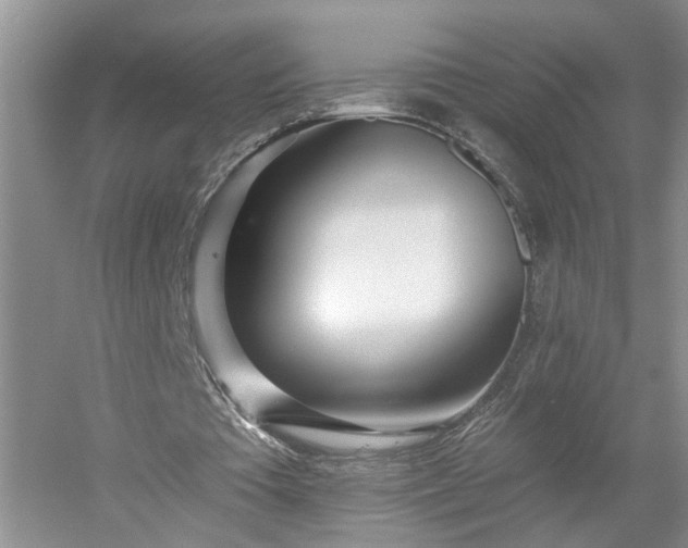 X0000053000385200507151927