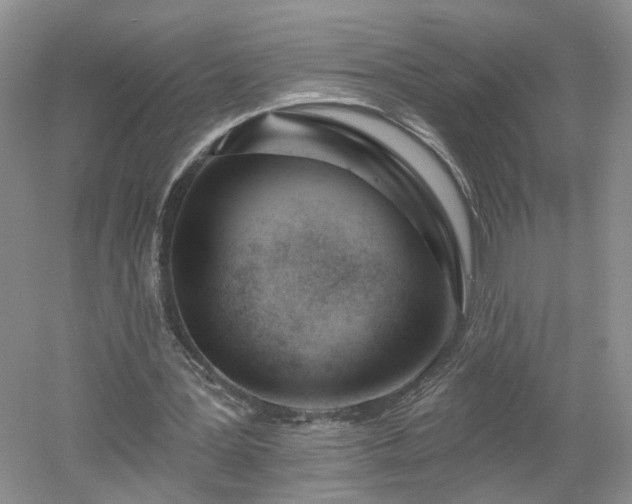 X0000053000387200507151927