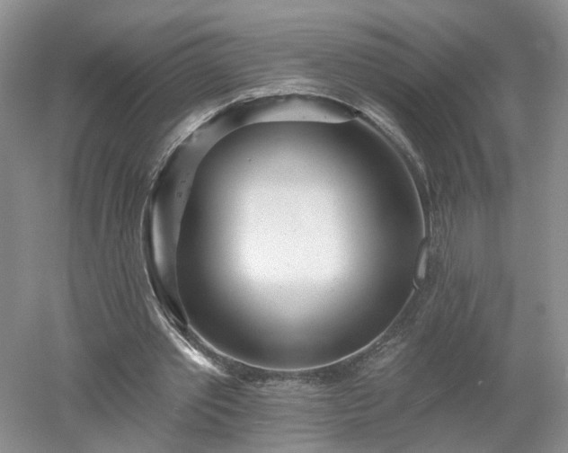X0000053000389200507151927
