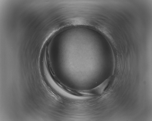 X0000053000391200507151927