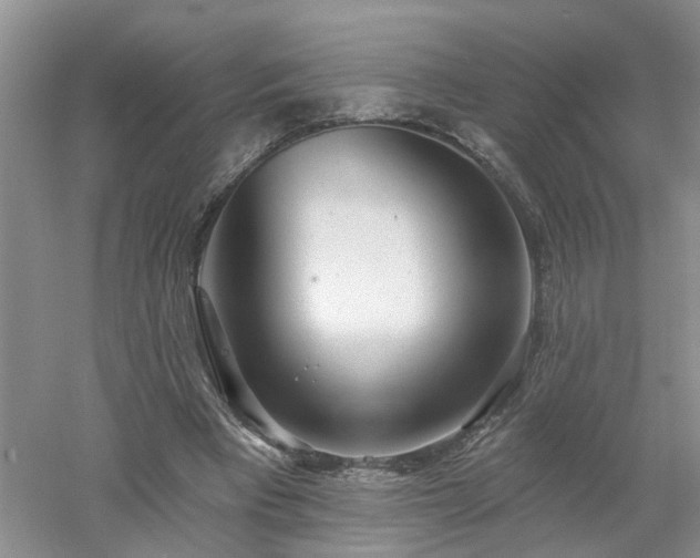X0000053000393200507151927
