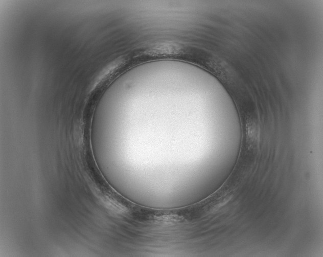 X0000053000396200507151927