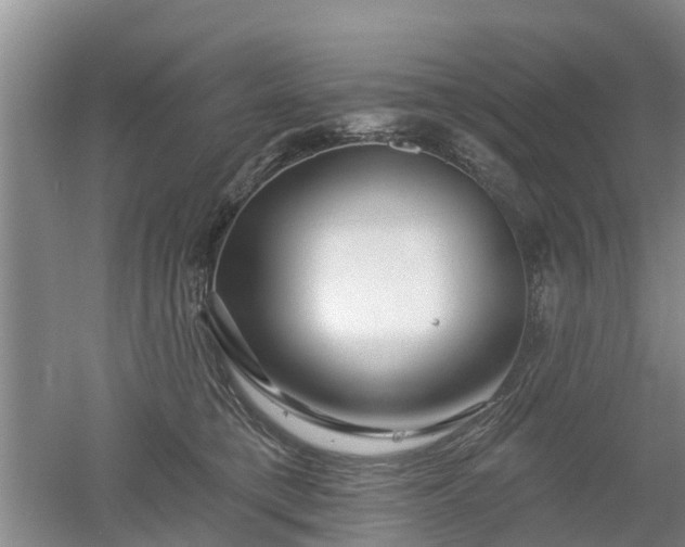 X0000053000421200507151926