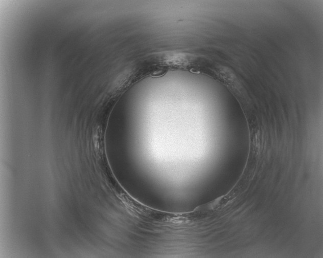 X0000053000424200507151926