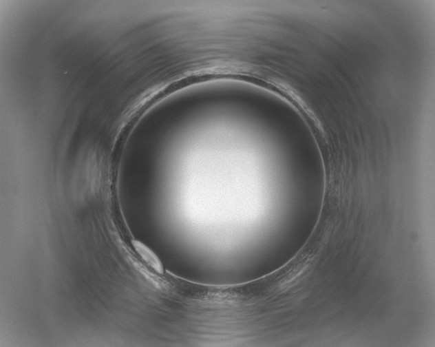 X0000053000437200507151925