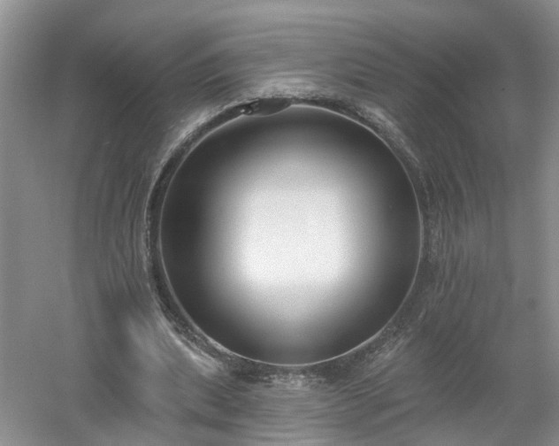 X0000053000439200507151925