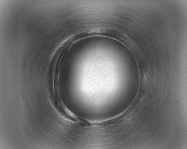 X0000053000444200507151925