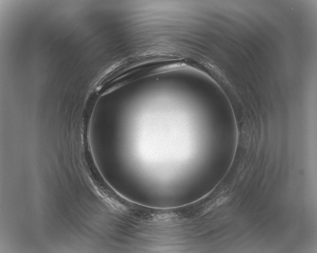 X0000053000446200507151926