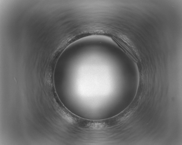 X0000053000449200507151926