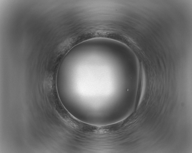 X0000053000451200507151926