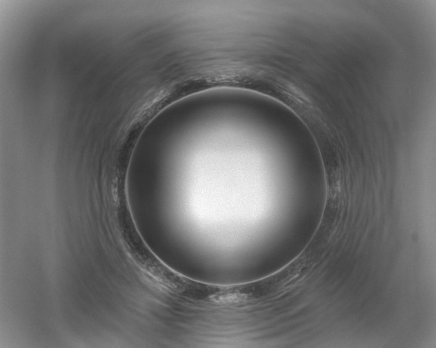 X0000053000452200507151926