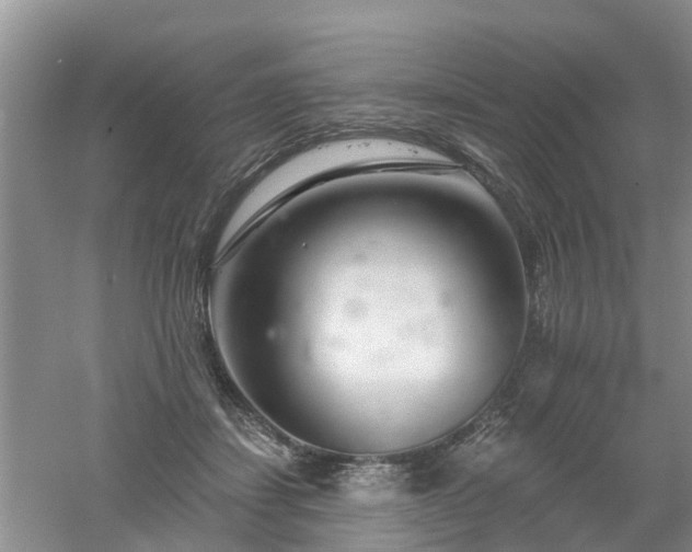 X0000053000459200507151926