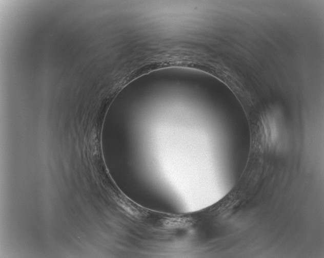 X0000053000465200507151926