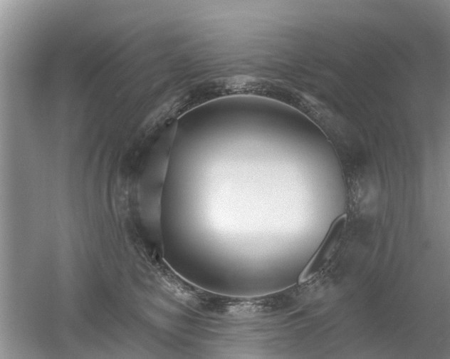 X0000053000470200507151926