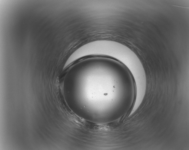 X0000053000475200507151926