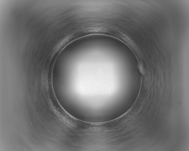 X0000053000482200507151925
