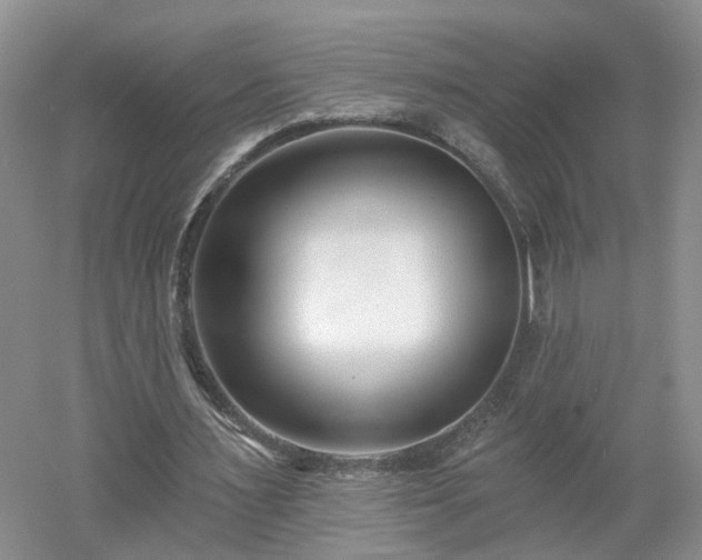 X0000053000483200507151925