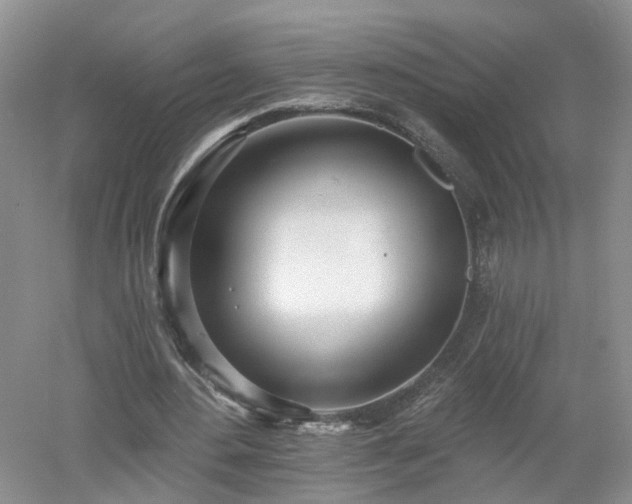 X0000053000484200507151925