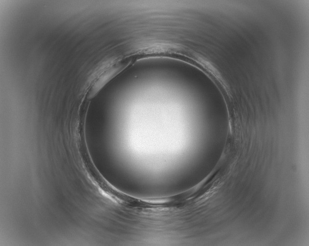 X0000053000485200507151925