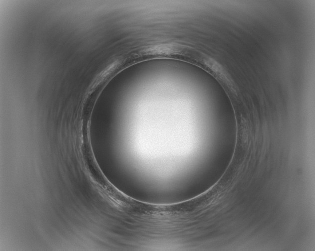 X0000053000486200507151925