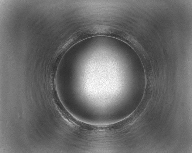 X0000053000489200507151925