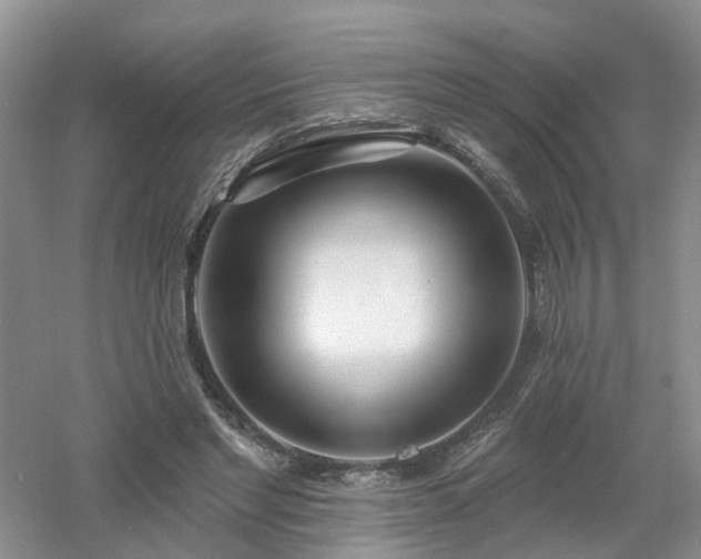 X0000053000493200507151925
