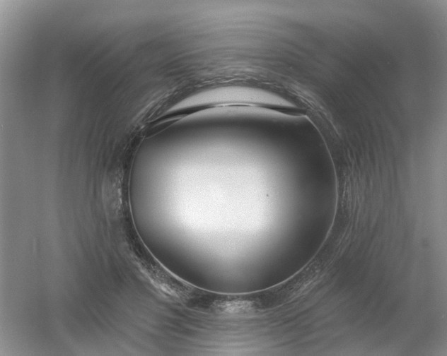 X0000053000501200507151925