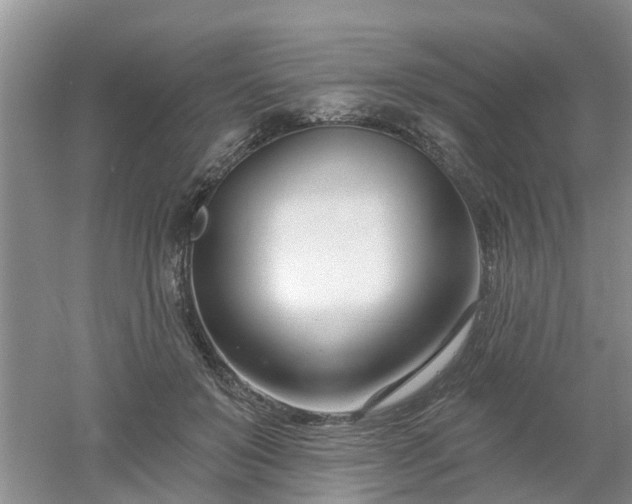X0000053000503200507151925