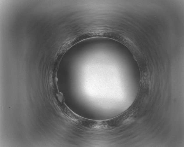 X0000053000504200507151925