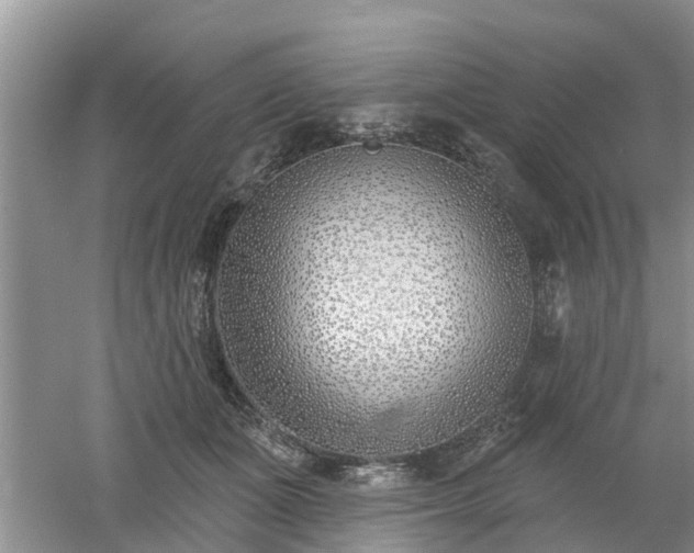 X0000053000511200507151925