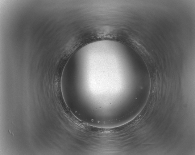 X0000053000513200507151925