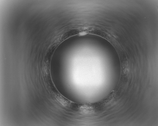 X0000053000515200507151925