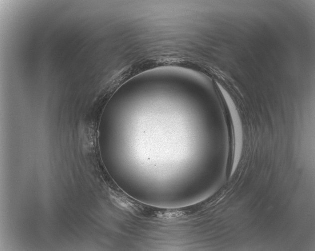 X0000053000517200507151925