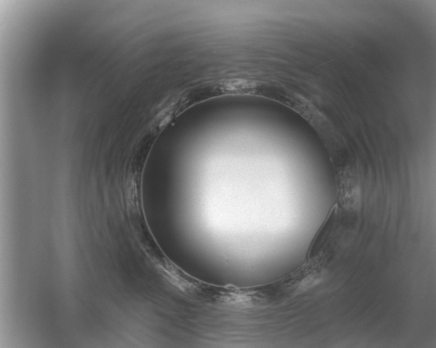 X0000053000523200507151925