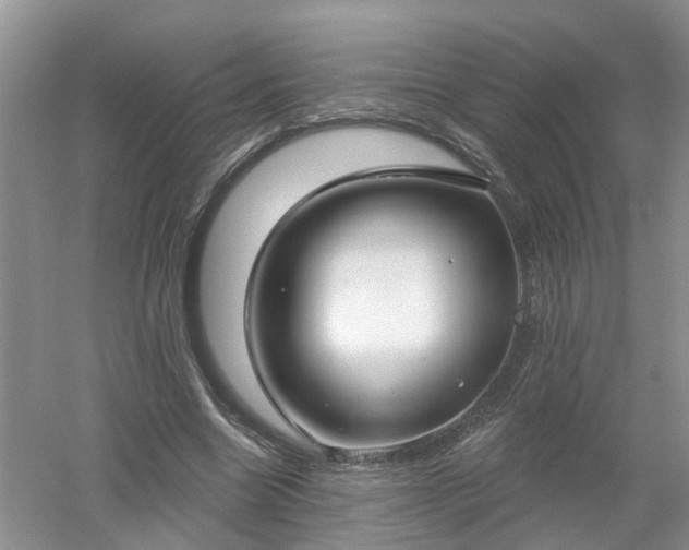 X0000053000538200507151924