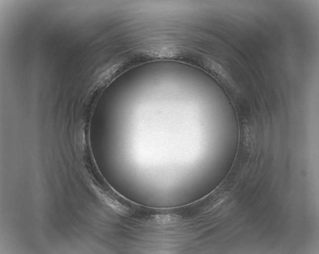 X0000053000541200507151924