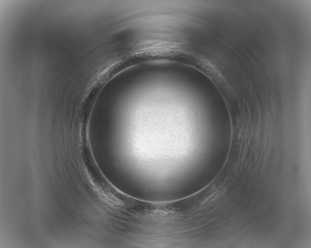 X0000053000542200507151924