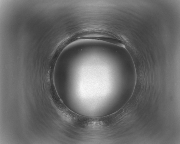 X0000053000543200507151924