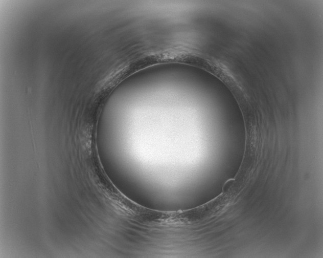 X0000053000545200507151924