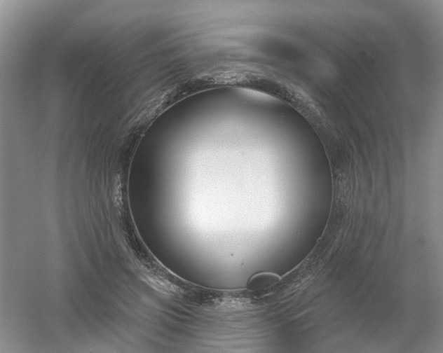 X0000053000549200507151924