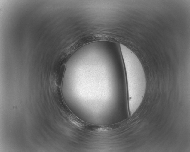 X0000053000566200507151924