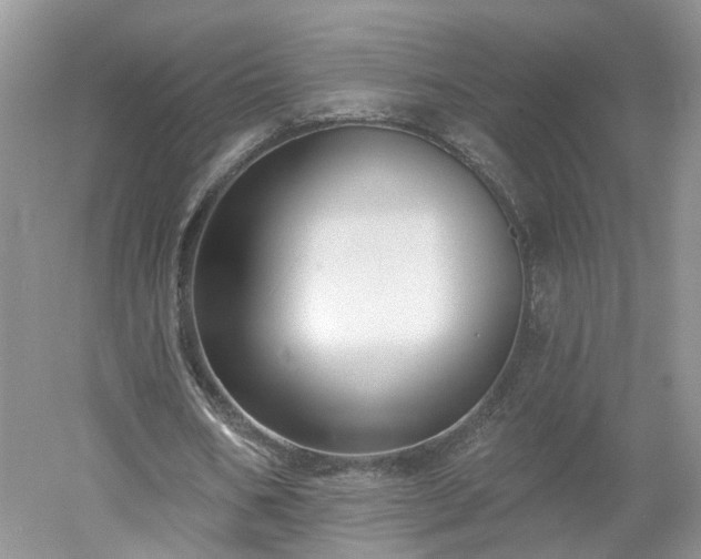 X0000053000578200507151924