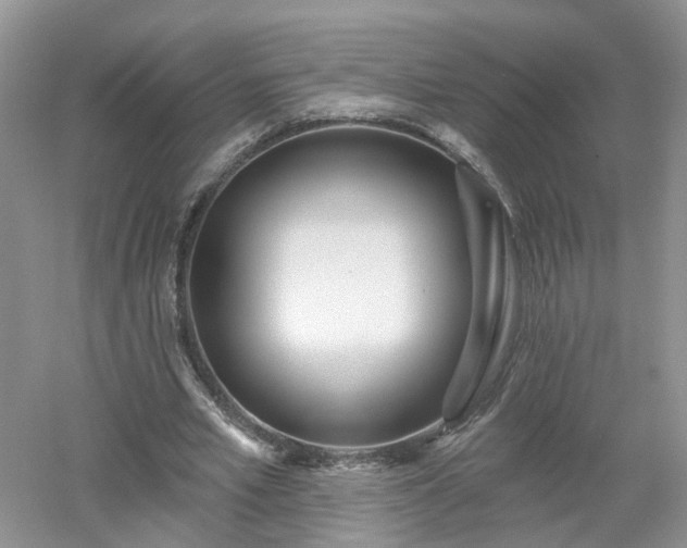 X0000053000581200507151924