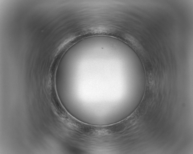 X0000053000583200507151924